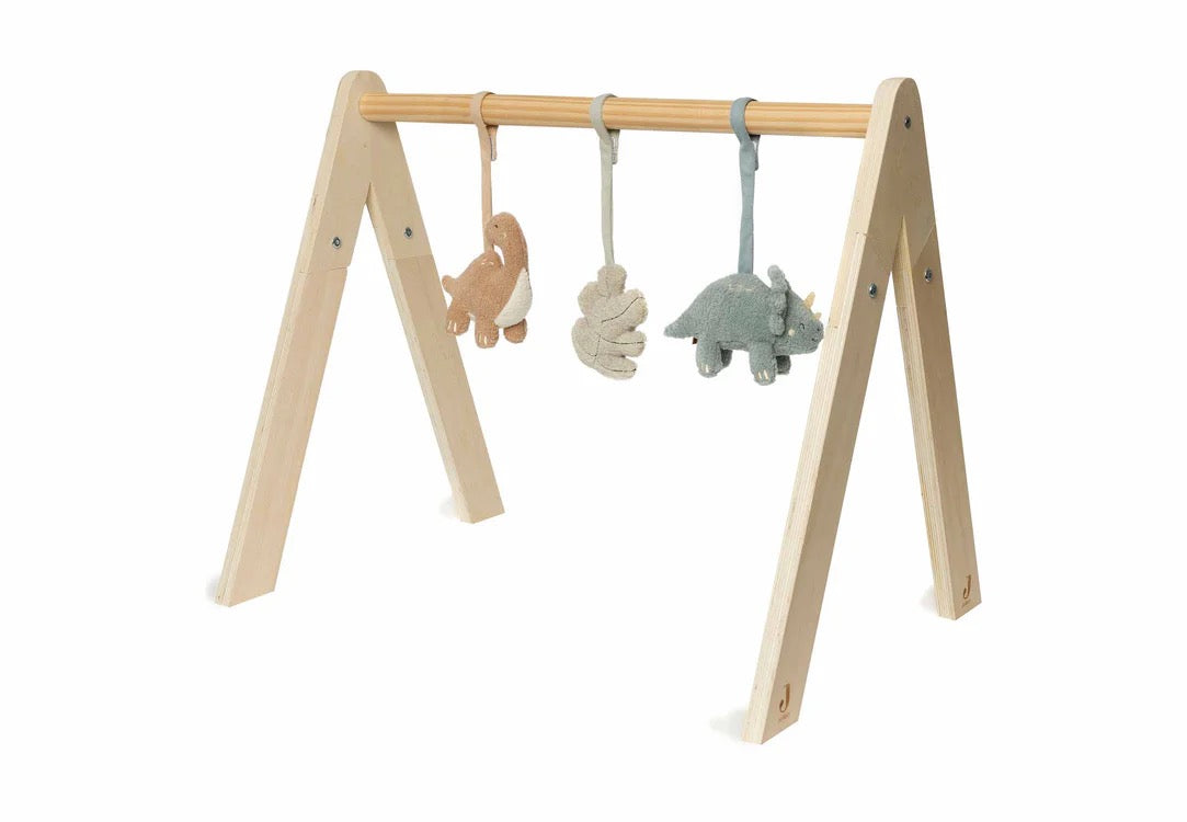 Babygym speeltjes Roarsome