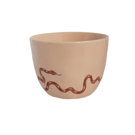 Large Sand Cup Snake
