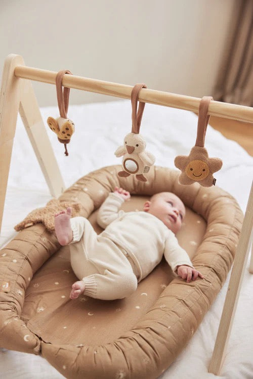 Babygym speeltjes Spring Garden
