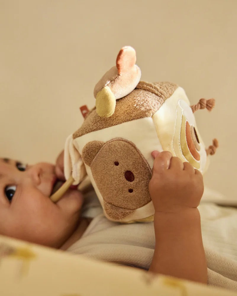 Activiteitenkubus Kangaroots