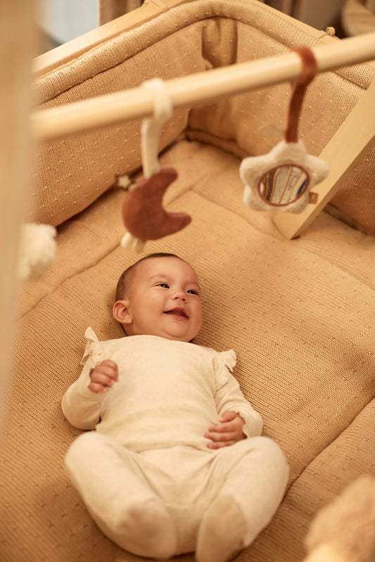 Jollein Babygym speeltjes - Woolly